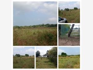 TERRENO 20 HECTAREAS EN VENTA EN MATA LOMA VERACRUZ