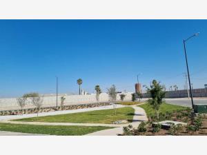 Terreno en venta en Ejido Ana, Torreón, Coahuila de Zaragoza Terreno en venta en Ejido Ana, Torreón, Coahuila de Zaragoza