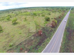 Terreno en venta en Santa Guillermina, Tlalixcoyan, Veracruz de Ignacio de la Llave Terreno en venta en Santa Guillermina, Tlalixcoyan, Veracruz de Ignacio de la Llave