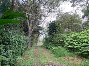 Terreno en venta en Mariano Escobedo, Coatepec, Veracruz de Ignacio de la Llave