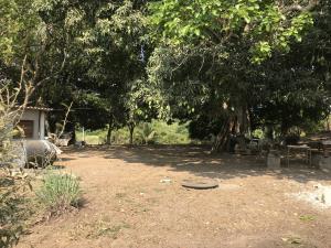 Terreno en venta en Paso Colorado, Boca del Río, Veracruz de Ignacio de la Llave
