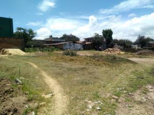 Terreno en venta en Teotlalpan, Chignahuapan, Puebla