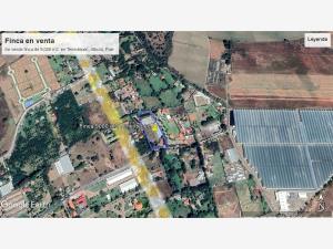 Finca-Rancho en venta en La Joya (Agropecuaria Tenextepec), Atlixco, Puebla Finca-Rancho en venta en La Joya (Agropecuaria Tenextepec), Atlixco, Puebla