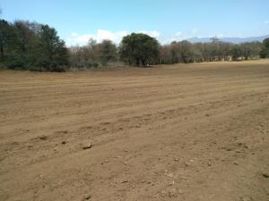 Terreno en venta en Michac, Chignahuapan, Puebla