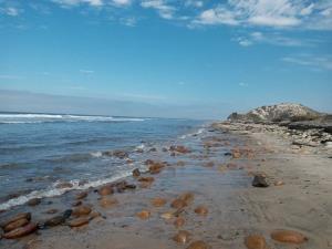 Terreno en venta en El Socorrito, San Quintín, Baja California