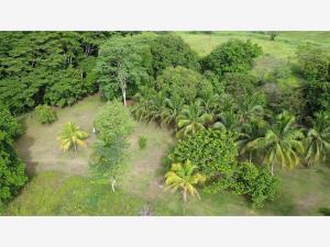 Quinta en venta en Pajonal, Centro, Tabasco Quinta en venta en Pajonal, Centro, Tabasco