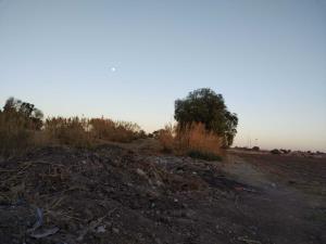 Terreno  en Venta en La Calera, Irapuato