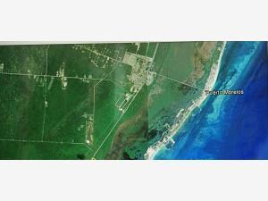 Terreno en venta en Cancún Centro, Benito Juárez, Quintana Roo