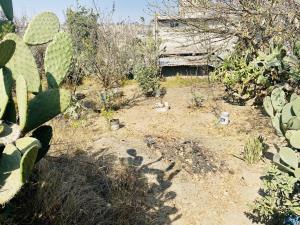 Terreno en venta en San Sebastián, Teoloyucan, México