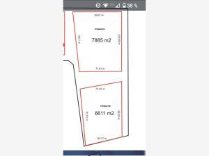 Terreno en venta en El Tajito, Torreón, Coahuila de Zaragoza