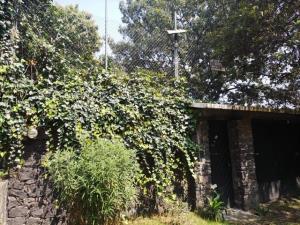 Terreno Residencial en Venta en San Andrés Totoltepec, Tlalpan, Ideal para Proyectos Habitacionales