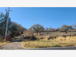Terreno en venta en Jiquilpan de Juarez Centro, Jiquilpan, Michoacán de Ocampo