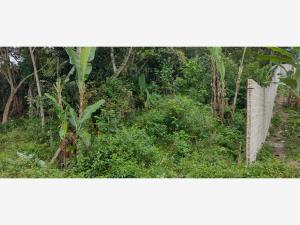Terreno en venta en El Haya, Xico, Veracruz de Ignacio de la Llave