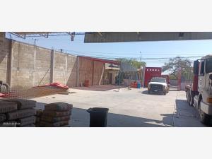 Bodega en renta en Alpuyeca, Xochitepec, Morelos