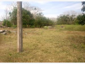 Terreno en venta en Paso Colorado, Boca del Río, Veracruz de Ignacio de la Llave Terreno en venta en Paso Colorado, Boca del Río, Veracruz de Ignacio de la Llave
