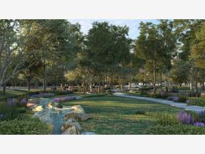 Terreno en venta en Tacubaya, Parras, Coahuila de Zaragoza Terreno en venta en Tacubaya, Parras, Coahuila de Zaragoza