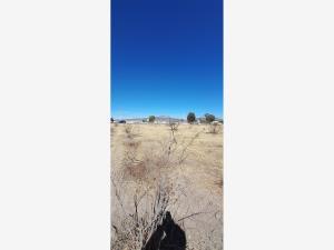 Terreno en venta en San Rafael, Apan, Hidalgo