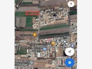 Terreno en venta en San Rafael Tlanalapan, San Martín Texmelucan, Puebla