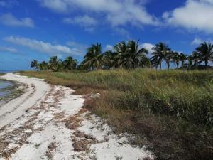 Terreno en venta en Carolinas, Champotón, Campeche