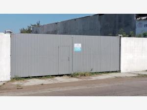 Terreno en renta en Miguel Aleman, Veracruz, Veracruz de Ignacio de la Llave