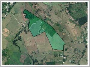 Terreno en venta en Víctor Fernández Manero 1ra. Sección (San Antonio), Jalapa, Tabasco