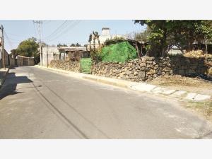 Terreno en venta en Tepetlixpa, Tepetlixpa, México