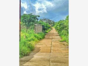 Terreno en venta en Berriozabal Centro, Berriozábal, Chiapas