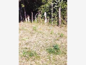 Terreno en venta en San Lucas Ojitlán, San Lucas Ojitlán, Oaxaca