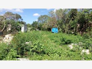 Terreno en venta en Chicxulub, Chicxulub Pueblo, Yucatán