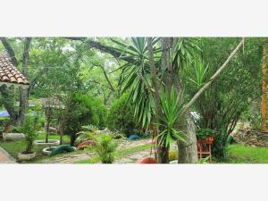 Finca-Rancho en venta en San Francisco, Santiago, Nuevo León
