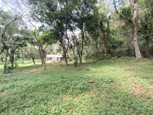 Terreno en venta en Briones, Coatepec, Veracruz de Ignacio de la Llave