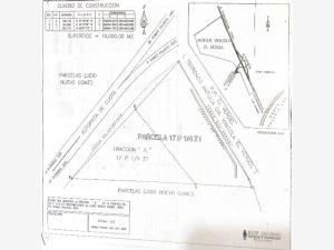 Terreno en venta en Nuevo Gómez, Gómez Palacio, Durango