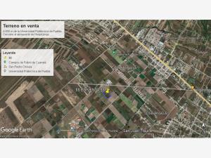Terreno en renta en Santa Maria Zacatepec, Juan C. Bonilla, Puebla Terreno en renta en Santa Maria Zacatepec, Juan C. Bonilla, Puebla