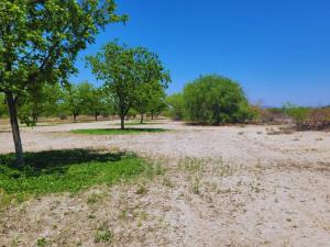 TERRENO EN VENTA AL ORIENTE DE SALTILLO, COAH.