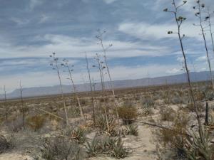 Finca-Rancho en venta en Santa Teresa de Sofía, Cuatro Ciénegas, Coahuila de Zaragoza