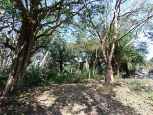 Terreno en venta en La Aguada, Alvarado, Veracruz de Ignacio de la Llave
