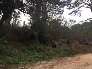 Terreno en venta en Lomas de Tzompantle, Cuernavaca, Morelos
