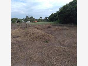 Terreno en venta en La Aguada, Alvarado, Veracruz de Ignacio de la Llave