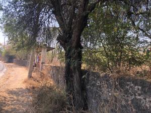 Terreno en venta en Amador Salazar, Tlaltizapán de Zapata, Morelos