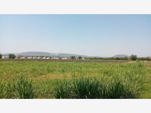 Terreno en venta en Tlaquiltenango, Tlaquiltenango, Morelos
