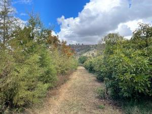Finca-Rancho en venta en Tapalpa, Tapalpa, Jalisco