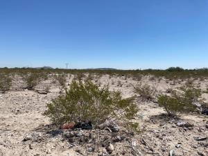 Terreno en venta en San Fernando, Lerdo, Durango Terreno en venta en San Fernando, Lerdo, Durango
