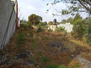 Terreno en venta en San Andres Ahuashuatepec, Tzompantepec, Tlaxcala