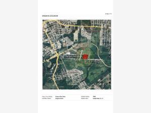 Terreno en venta en Gregorio Osuna, Ciudad Valles, San Luis Potosí