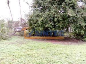 Terreno en venta en Santa Cecilia, Papantla, Veracruz de Ignacio de la Llave