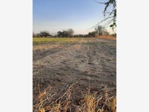 Terreno en venta en Amayuca, Jantetelco, Morelos Terreno en venta en Amayuca, Jantetelco, Morelos