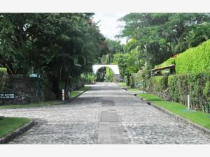 Casa en venta en Los Apantles, Jiutepec, Morelos