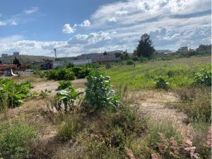 Terreno en renta en San Martín Tepetlixpan, Cuautitlán Izcalli, México