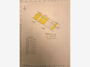 Terreno en venta en Hormiguero, Matamoros, Coahuila de Zaragoza Terreno en venta en Hormiguero, Matamoros, Coahuila de Zaragoza