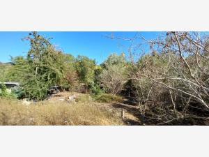 Terreno en venta en Chacahua, Villa de Tututepec, Oaxaca